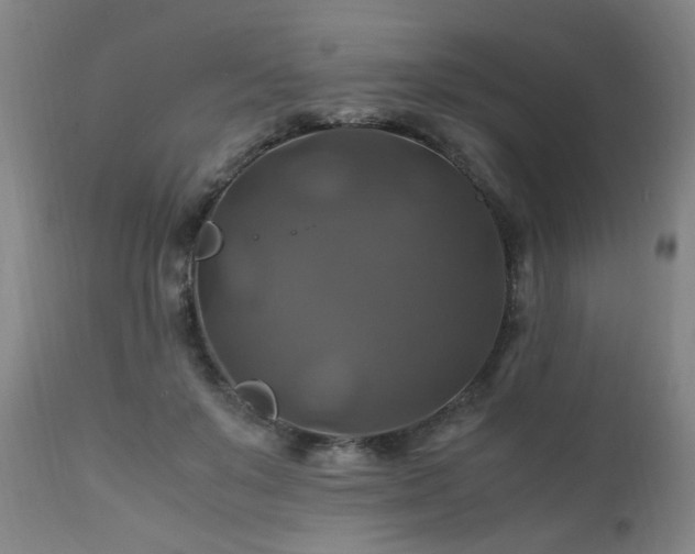 X0000110990503200906191430