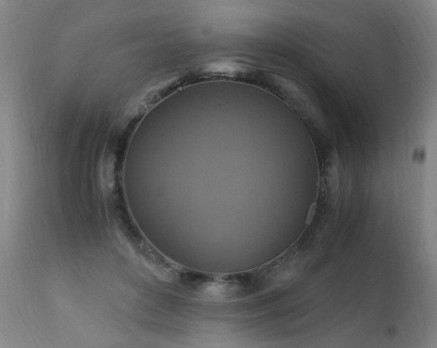 X0000110990504200906191430