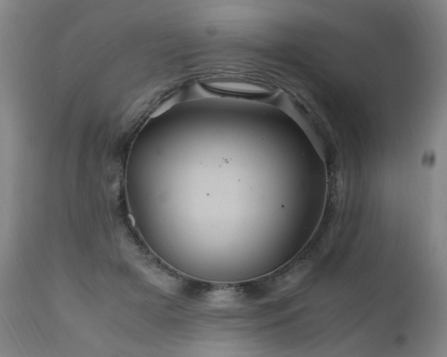 X0000110990505200906191430