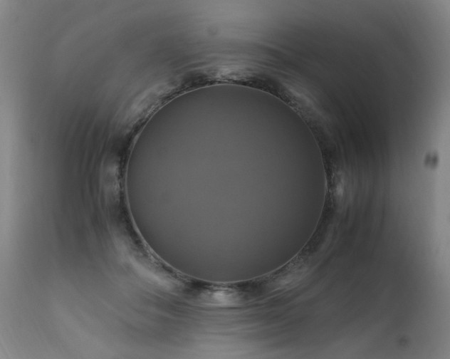 X0000110990506200906191430