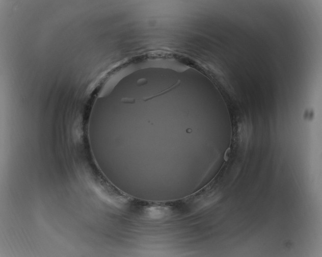 X0000110990508200906191430