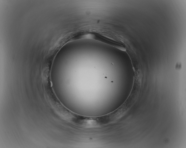 X0000110990509200906191430