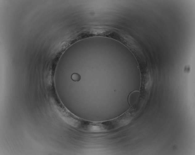 X0000110990510200906191430