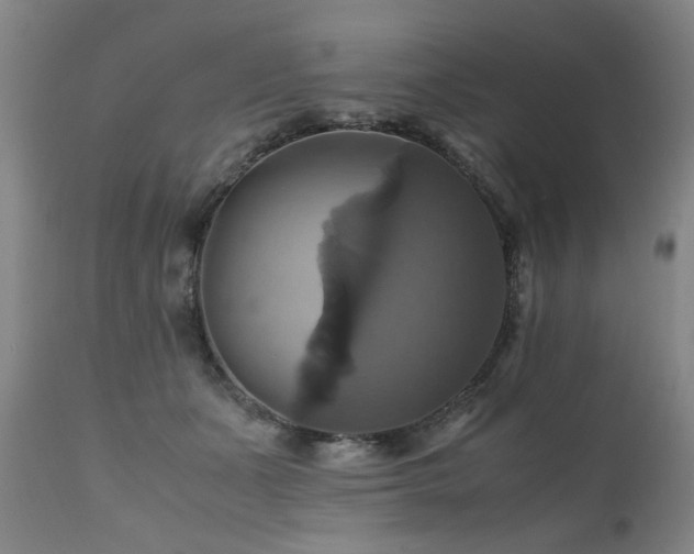 X0000110990511200906191430