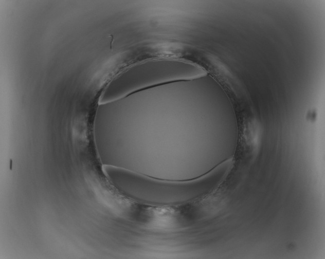 X0000110990512200906191430