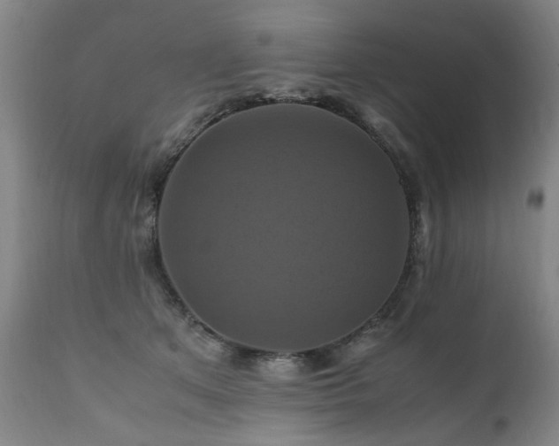 X0000110990513200906191430