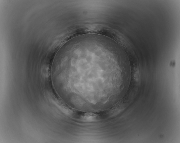 X0000110990514200906191430