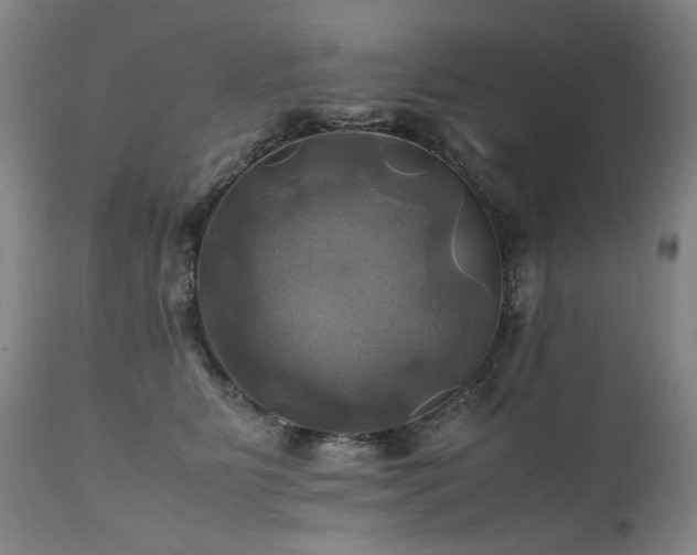 X0000110990515200906191430