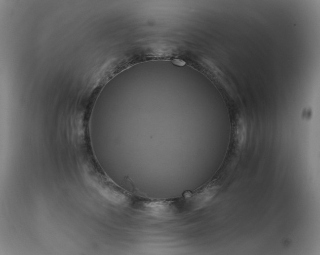 X0000110990516200906191430