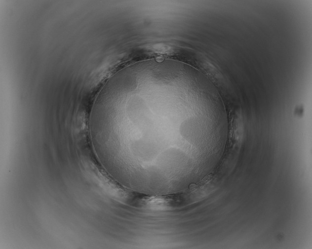 X0000110990518200906191430