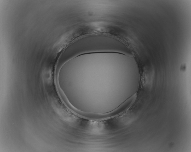 X0000110990520200906191430