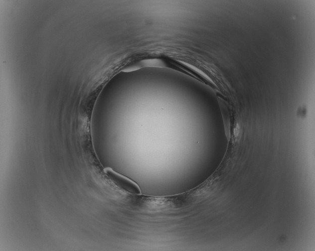 X0000110990521200906191430