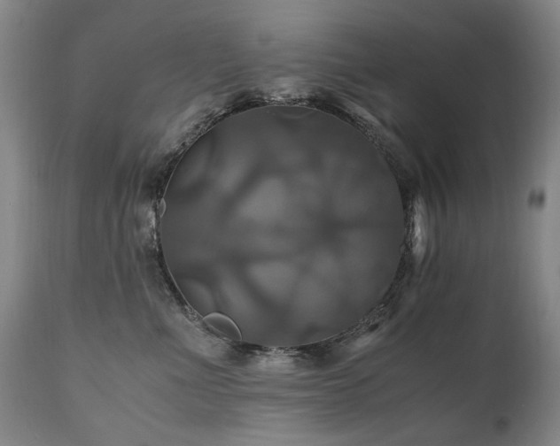 X0000110990523200906191430