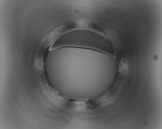 X0000110990524200906191430