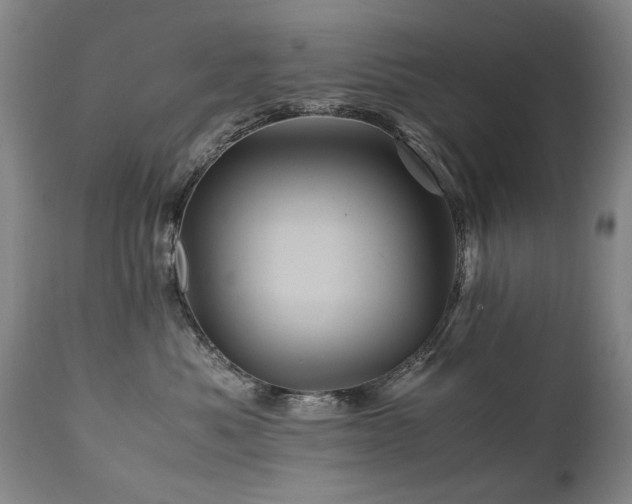 X0000110990525200906191430