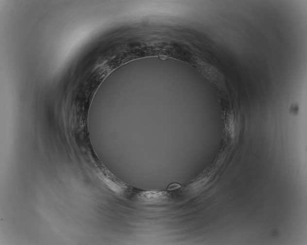 X0000110990526200906191430