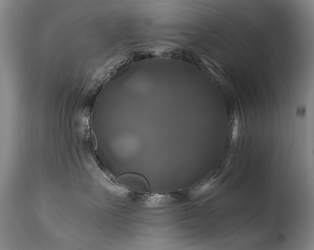 X0000110990527200906191430