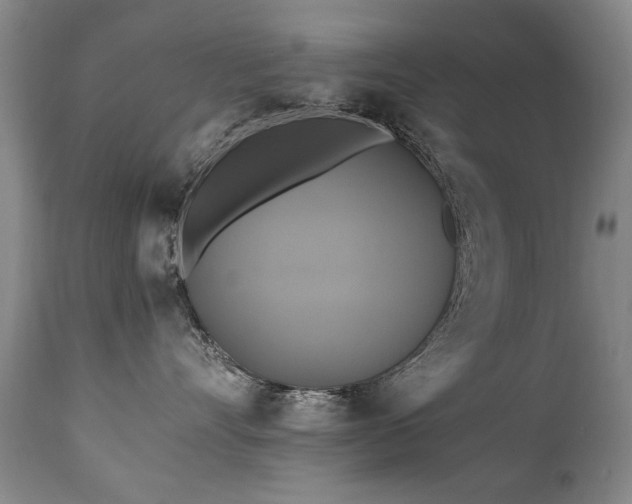 X0000110990528200906191430