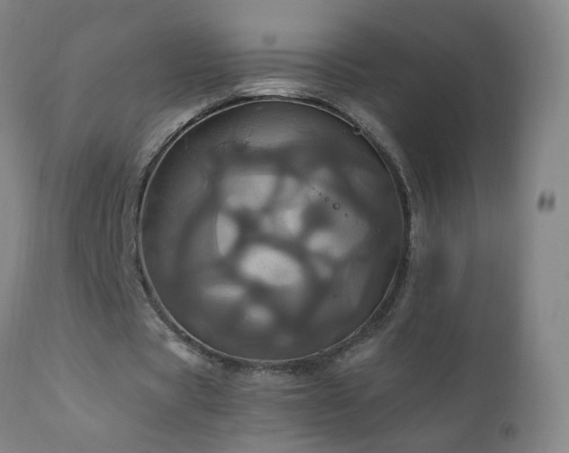 X0000110990529200906191429