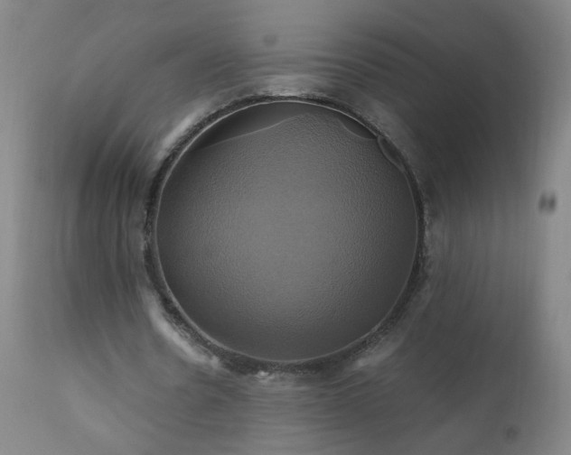 X0000110990530200906191429