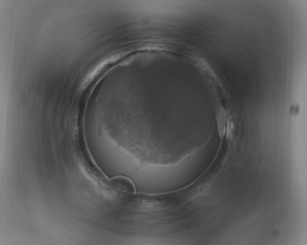 X0000110990531200906191429