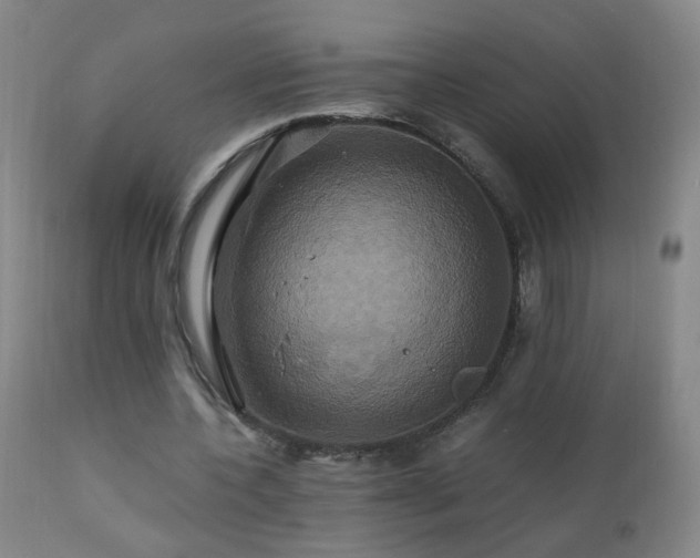 X0000110990532200906191429