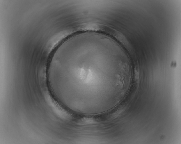 X0000110990534200906191429