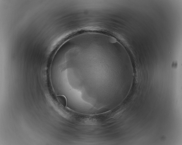 X0000110990535200906191429