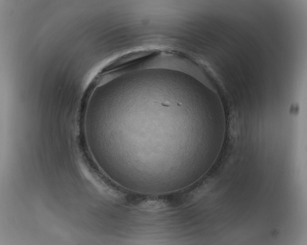 X0000110990536200906191429