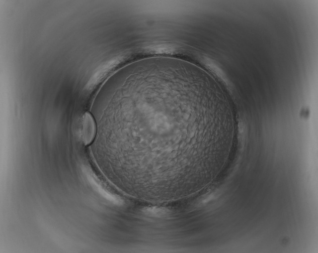 X0000110990537200906191429