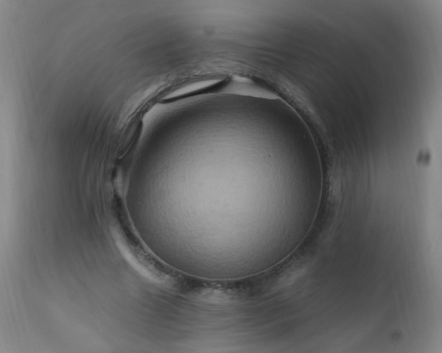 X0000110990538200906191429
