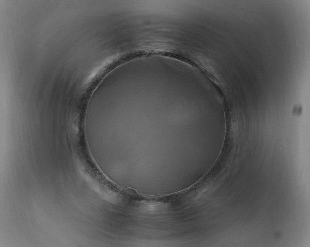 X0000110990539200906191429