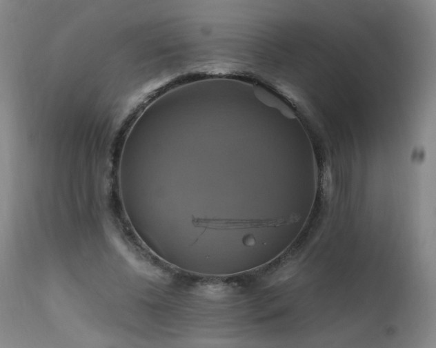 X0000110990540200906191429