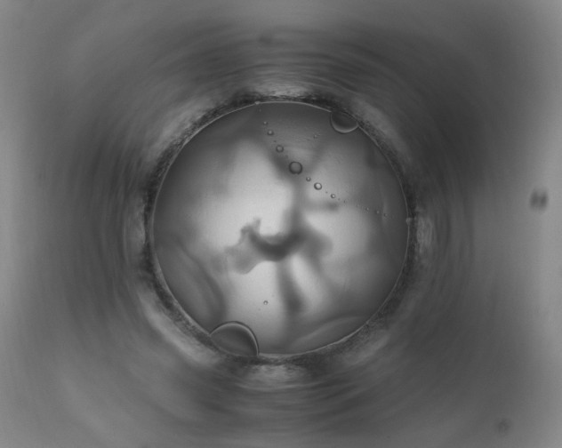 X0000110990541200906191429