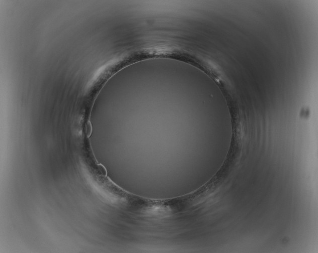 X0000110990543200906191429