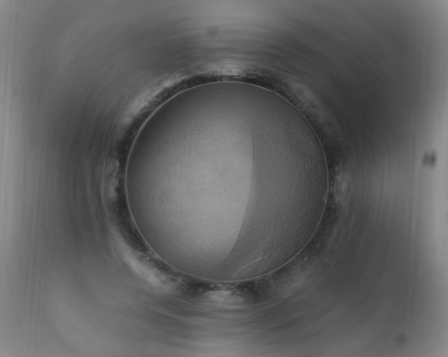 X0000110990544200906191429