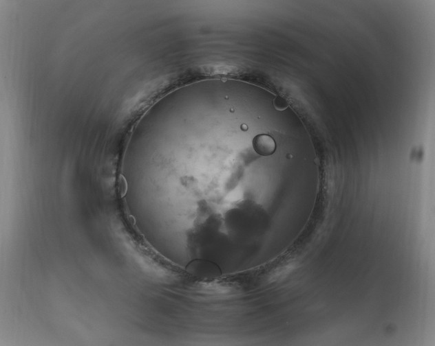 X0000110990545200906191429