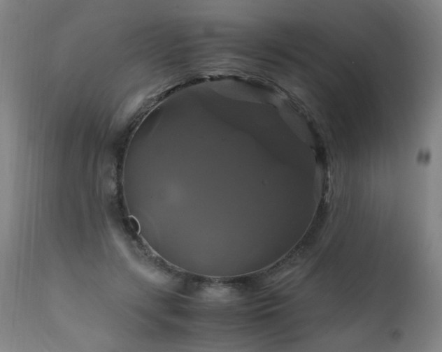 X0000110990547200906191429