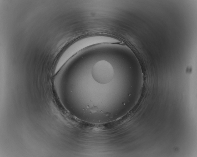 X0000110990548200906191429