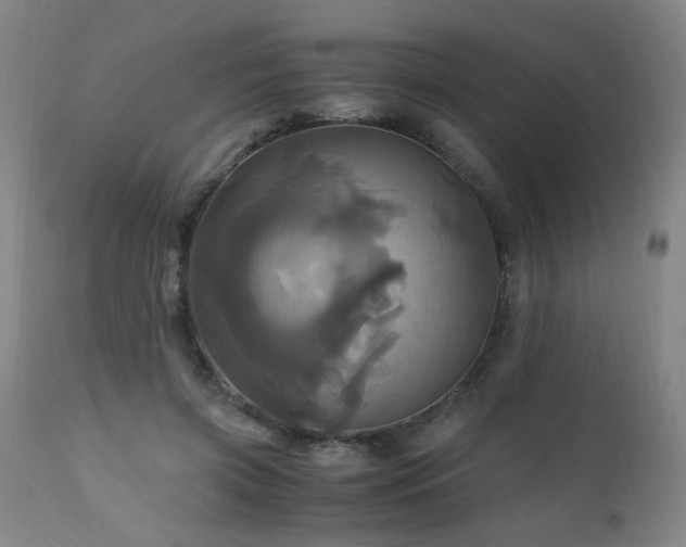 X0000110990549200906191429
