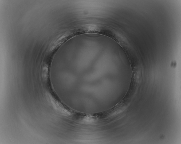 X0000110990550200906191429