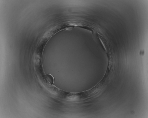 X0000110990551200906191429
