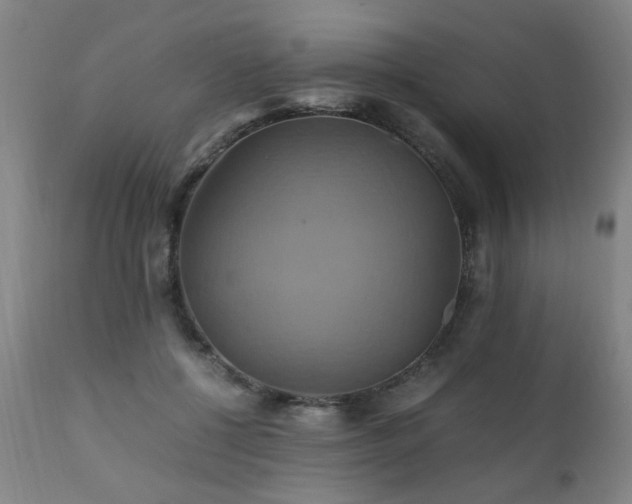 X0000110990552200906191429