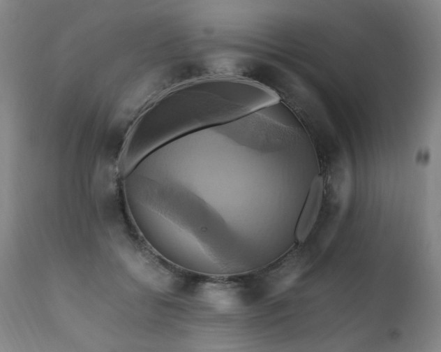 X0000110990556200906191429