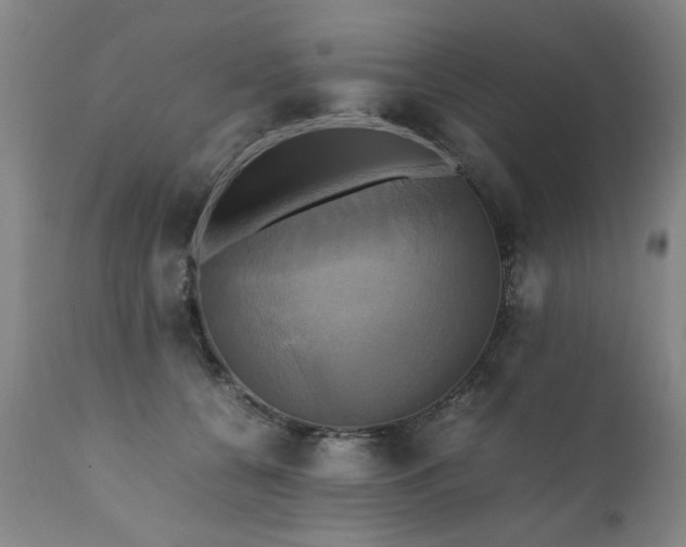 X0000110990560200906191429
