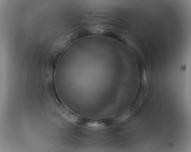 X0000110990561200906191429
