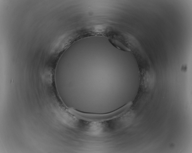 X0000110990562200906191429