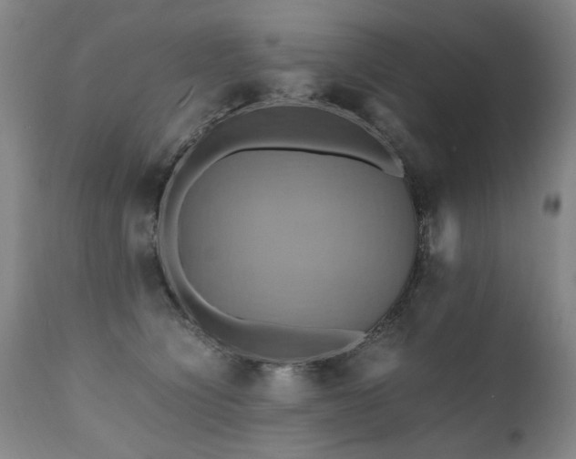 X0000110990564200906191429