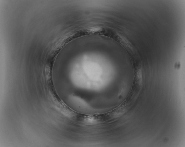 X0000110990565200906191429