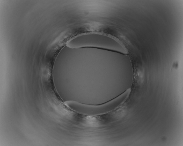 X0000110990566200906191430